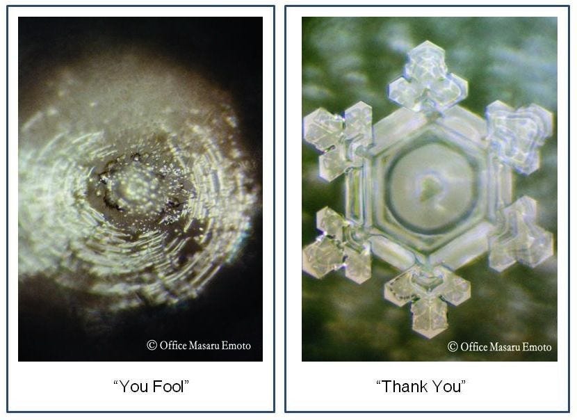 Dr. Emoto's Water Test